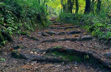 Villa Valeria Moralillo 1 - Foto 30