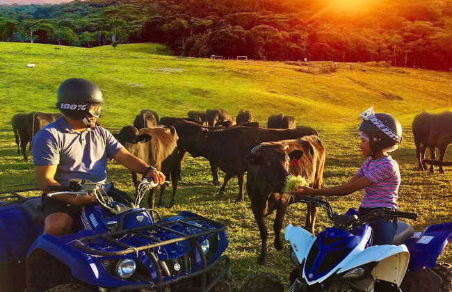 Kur Cow farm - Foto 19