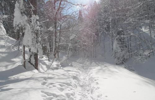 Chalet Monts Jura - Foto 26