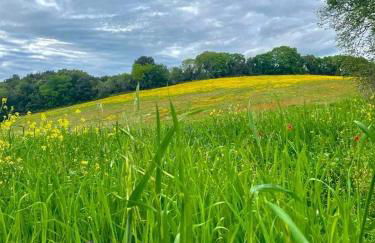 Agriturismo Colleverde Capalbio - Foto 36