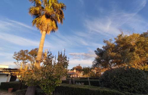 Cortijo el Cachete - Foto 12