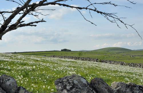 Gîte La Belle Aubrac - Photo 5