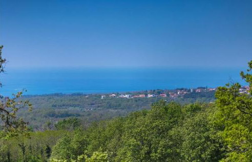 Villa Nikolina - Foto 9