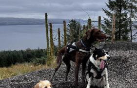 Firthview House - Foto 65