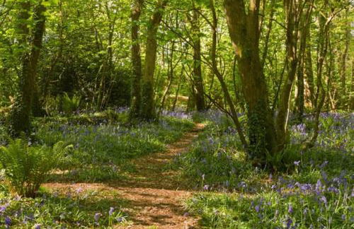 Cliffside 3 Bedroom House with Sea Views - Photo 30