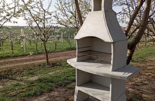 Domki w Winnicy - Świętokrzyska Winnica Knapów - Foto 25