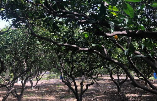 Casa Camino Tamadaba II (bottom home) - Foto 53