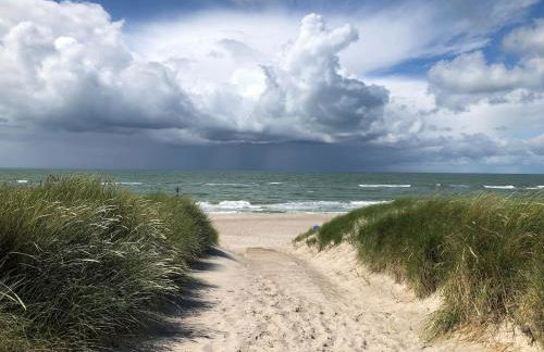 Meridiamus 1 - Ferienhäuschen in Boddennähe - Foto 18