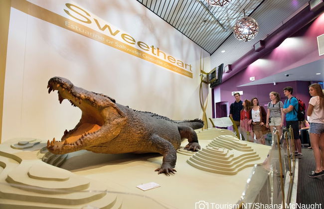 Hudson Parap - Photo 41