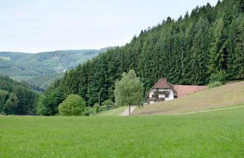Ferienwohnung Ringwald - Foto 32