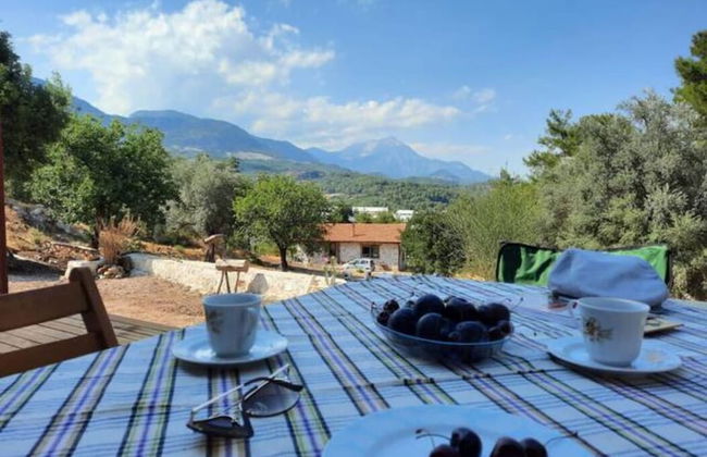 Olympos Stone House - Foto 41