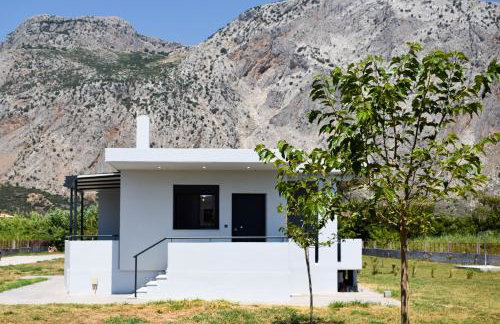 Alexandra's Place - Photo 36