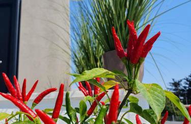 Olea Luxury Suites - Photo 65