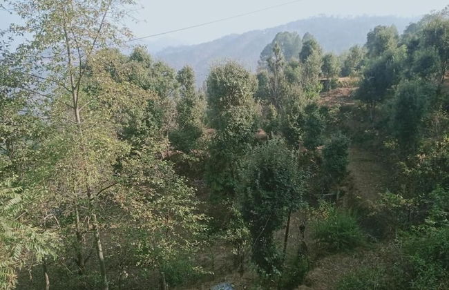 Jfr Studio Apartments Kausani - Foto 49