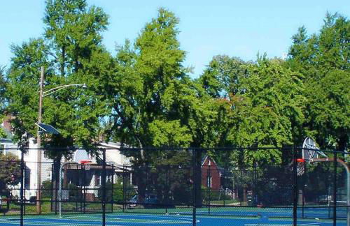 Charming Home, near beautiful park and tennis courts! - Foto 42