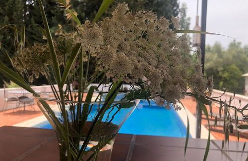 Casita Azahar Andalucia - Photo 35