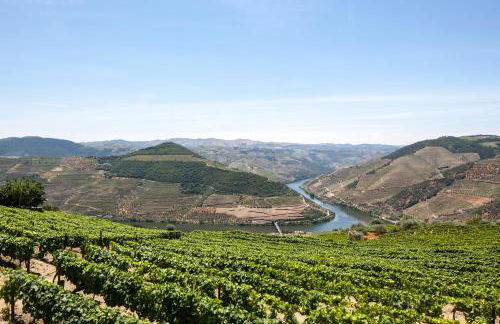 Casa de Casal de Loivos - Foto 99