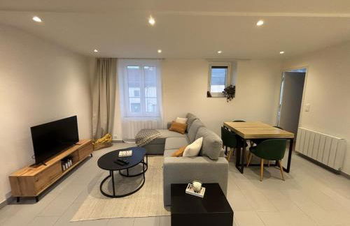 Appartement neuf CDG, Asterix, Chantilly, Mer de Sable - Foto 6