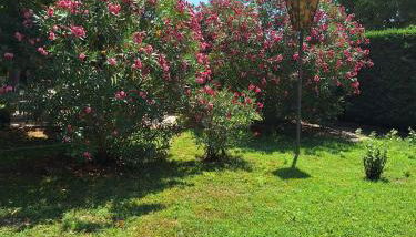 Residence Casa del Moro - Photo 5