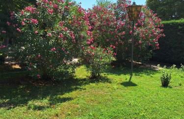 Residence Casa del Moro - Photo 5