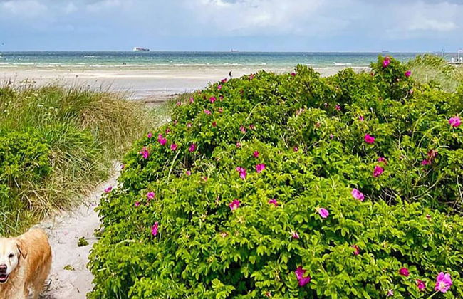 6 Personen Ferienhaus in Wendtorf - Foto 20