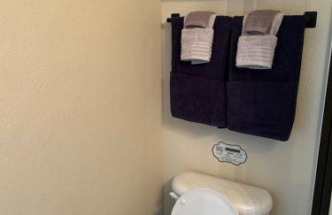 Minutes to UTA, AT&T Stadium, Globe Life Field - Foto 14