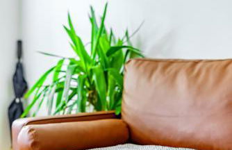 Jungle House Luxury Stays - Columbus Downtown Short North - Foto 45