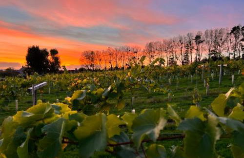 The Old Winery Cottage No1 - Foto 19