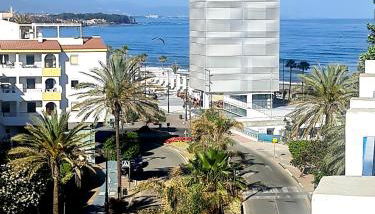 EsteponaCies - Photo 3