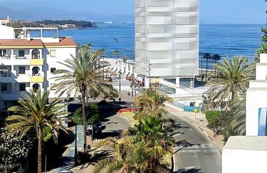 EsteponaCies - Photo 3