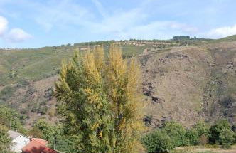 Quinta dos Castanheiros - Turismo Rural - Foto 64