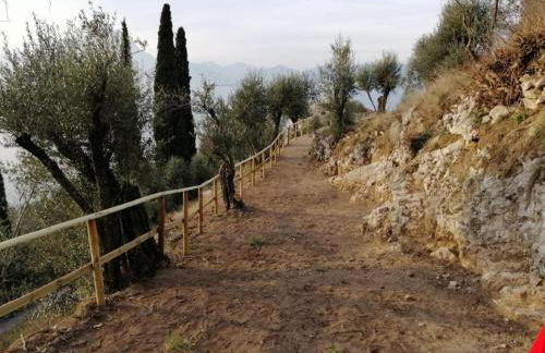 Agriturismo Le Anze - Foto 36