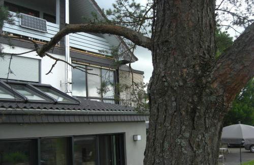 Ferienwohnung Alter Weinberg - Foto 2