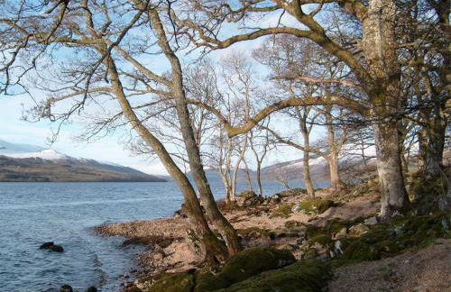 2 Bed in Ardeonaig CA351 - Foto 17