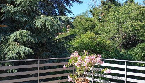 La casa tra gli alberi - Foto 4, Garden view