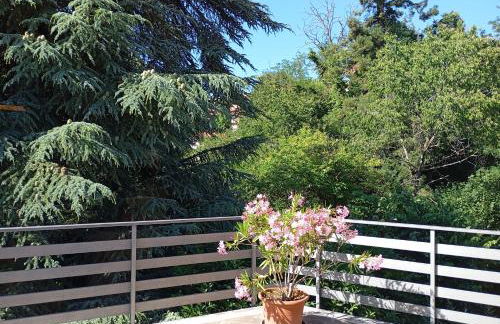 La casa tra gli alberi - Foto 4