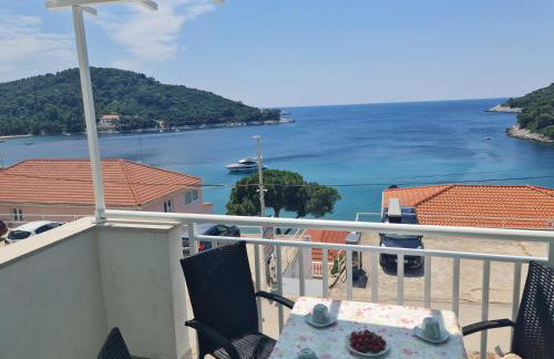 Apartments Pavlić - Photo 20