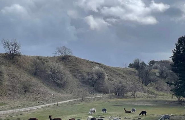 4 Person Holiday Home in Skibby - Foto 9