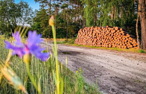 Prosportówek - Powidz - Dom Bliźniak nad Jeziorem z Dużym Ogrodem - Foto 6