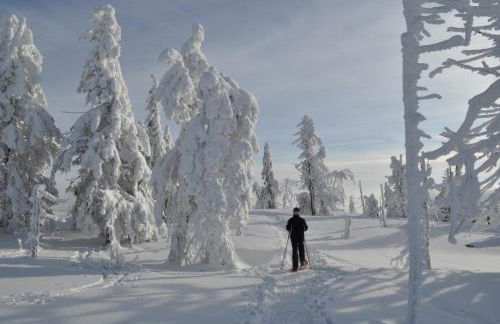 Haus Kuchler - Foto 16