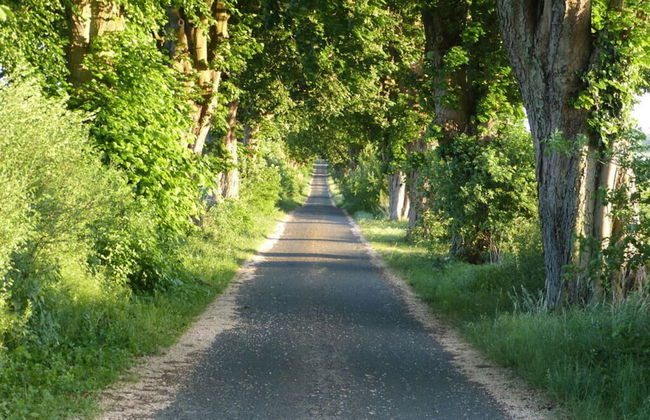 Fine Stuuv Comfortable Holiday Residence - Foto 24