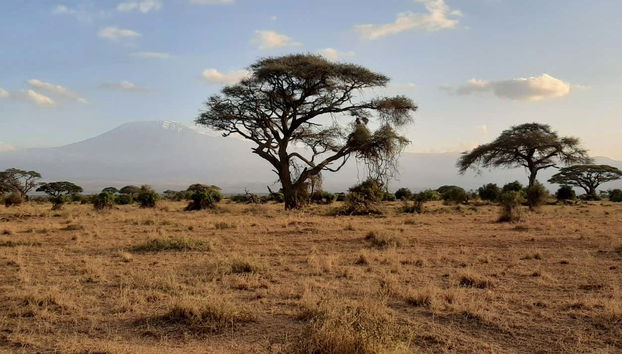 Paisajes del Parque Nacional de Amboseli
