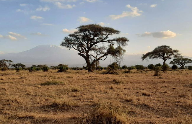 Safari privado de 3 días por el Parque Nacional de Amboseli - Foto 3