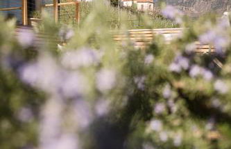 Residence Aqualis - Foto 55