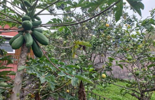 Casa Martins - Foto 67