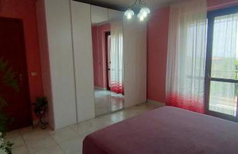 aranceto dell'Etna - Foto 65