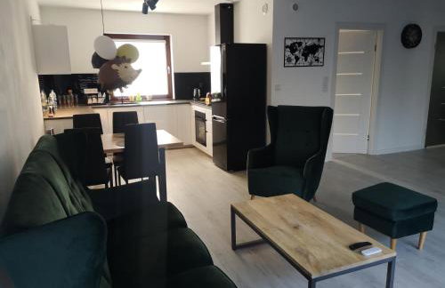 Willa Kaszubski Sendom - Foto 32