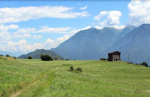 Serok: Casa nel Bosco con Bio Sauna - Photo 27