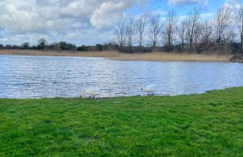 Magog View - Foto 21