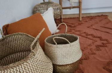 Gîte Animals King'Dôme 8min du Zoo de Beauval - Foto 23